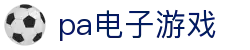 pa电子游戏